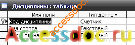 Скачать базу данных (БД) «Спорт» MS Access
