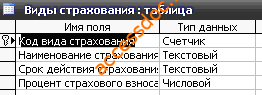 Скачать базу данных (БД) «Добровольное медицинское страхование» MS Access