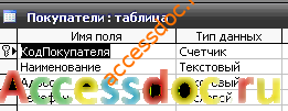 Скачать базу данных (БД) «Книжный магазин» MS Access