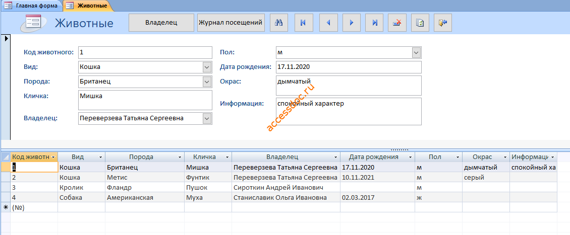 Форма Животные в готовой базе данных access Ветеринарная клиника
