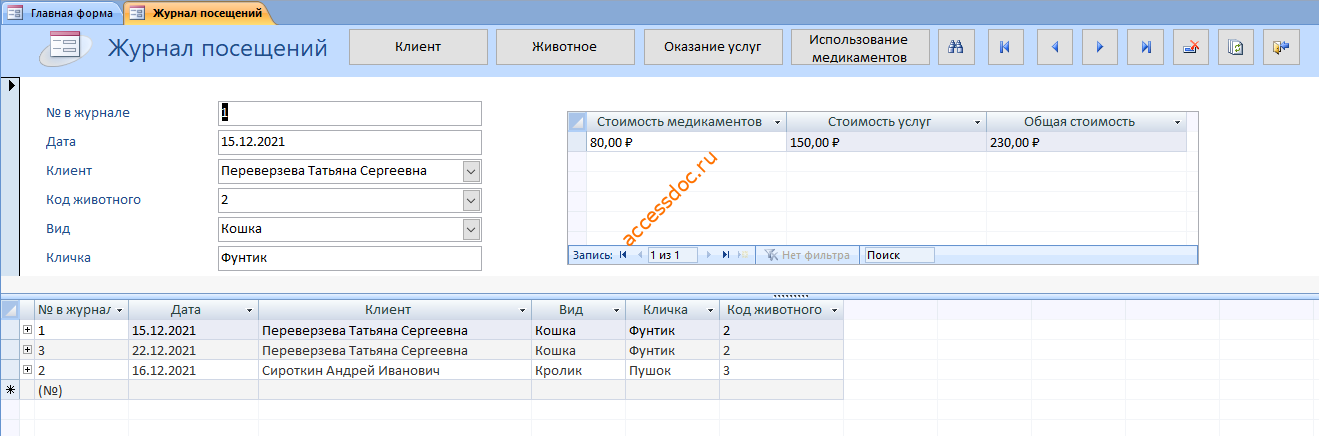 Скачать базу данных access Ветеринарная клиника. Форма Журнал посещений