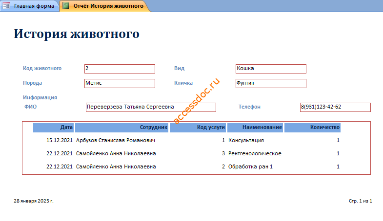 Скачать базу данных access Ветеринарная клиника. История лечения животного. Отчёт